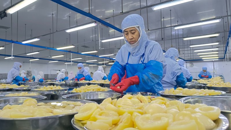 食品生产厂家动态速递:行业前沿与未来趋势