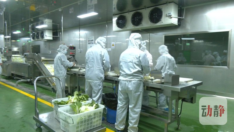 贵州食品加工行业的现状与趋势
